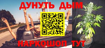 стаф Бузулук