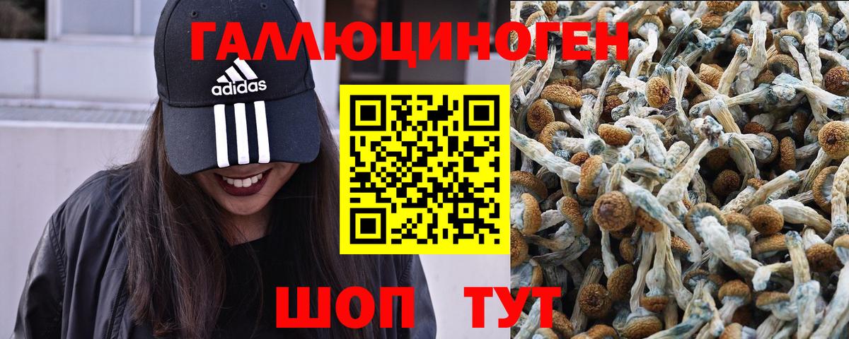 Галлюциногенные грибы прущие грибы Семилуки